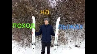 Поход на лыжах.Очень много фазанов!