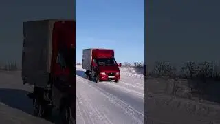 Изольда на зимней прогулке #зима #газель #газ #тюмень #tmn #gaz