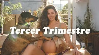 TERCER TRIMESTRE Preparativos y mas | Anita Thomas