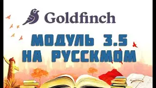 GOLDFINCH FLIGHT ACADEMY ГОЛДФИНЧ НА РУССКОМ   МОДУЛЬ  3.5 РУССКИЙ  ПЕРЕВОД
