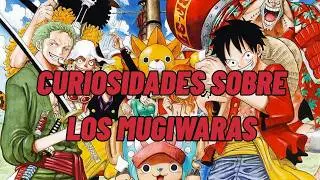 CURIOSIDADES SOBRE CADA MUGIWARA