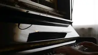 Usui - Hideyuki Hashimoto (Live Session)