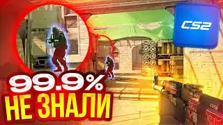 15-Minute Clutch Guide! (CS2)