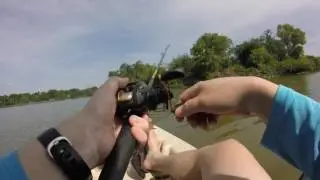 White Rock Lake - June 18, 2016 - Two Bass and One Catfish