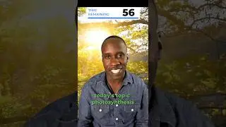 Photosynthesis in 60 Seconds 