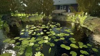 Back yard pond - UE 5.3