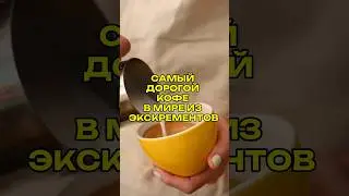 💩 Самый дорогой кофе в мире из экскрементов