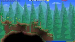 Terraria iPlay - Day 1