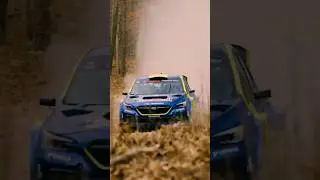 It's a good day to go fast at the 100 Acre Wood Rally with Subaru Motorsports