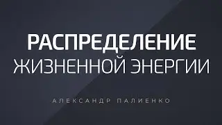 Распределение жизненной энергии. Александр Палиенко.