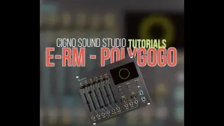 E-RM - Polygogo