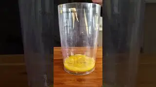 😮😮 The BEST Homemade Mayonnaise in 3-Minutes! #shorts
