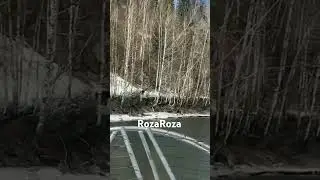 #shortvideo