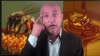 315- shafie ayarعسل-زنبور عسل