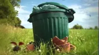 Мульт про божью коровку )