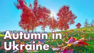 Walk in Autumn park. Famous country Mezhyhirya park, Kyiv, Ukraine