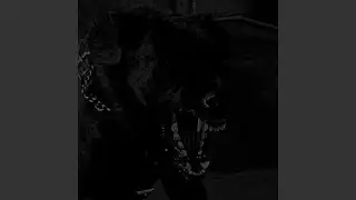 die