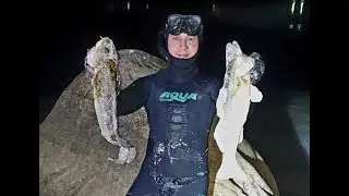 Подводная охота на судака и налима.