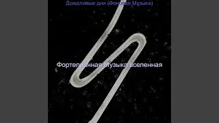 Созерцая (Дождливые дни)