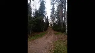 №43 Выравнивание общих вибрационных частот