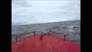 Южанка 2