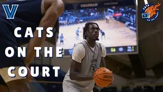 Cats on the Court: Villanova Men's Basketball Preview