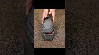 the hand rose from the coffin