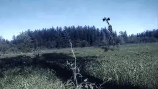 Сиреноголовый | Видеозапись