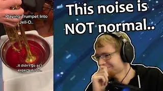 If my chat makes me laugh, the video ends. (YLYL#7)