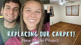 NEW CARPET & PAINT COLOR REVEAL | remodel vlog | New-Model Project