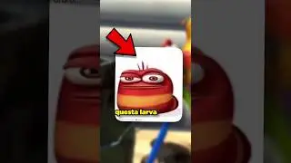 Perché la LARVA OI OI OI è MEME?