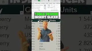 Filter with Slicers