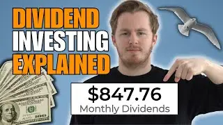 The Complete Beginner's Guide to Dividend Investing in 2023
