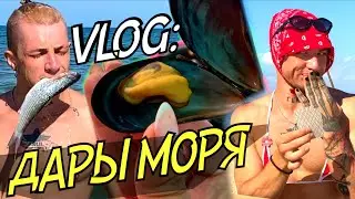 VLOG: СЪЕЛИ ТО, ЧТО ПОЙМАЛИ В МОРЕ!