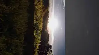 Cinematic Alam | Cinematic Nature