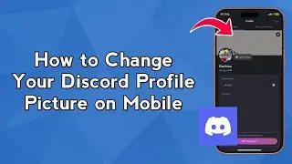How to Change Your Discord Profile Picture on Mobile (Fix Avatar Not Updating)