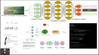 What is Deep learning, Neural networks, convolutional neural network (CNN)? Copy of Human Brain Tech