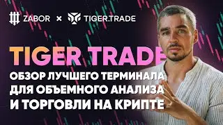 Tiger Trade - обзор лучшего терминала для объемного анализа и торговли на крипте