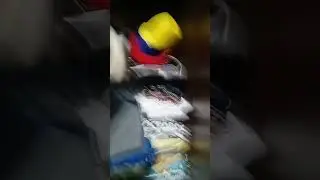 parte 2 y penúltima