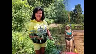 Уходит лето от Екатерины Наумовой 31.08.24.