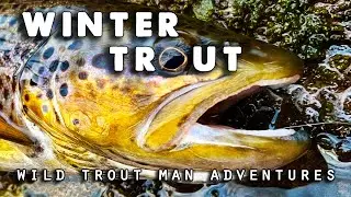 Winter Fly Fishing: Native and Wild Trout on New Year's Day