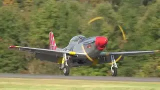 P-51 Mustang "Mad Max" Aerobatics, flown by Louis Horschel at Culpeper 10/7/22