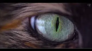 PROFESSOR - Colour Blind Love (feat. Holly) | HQ