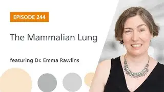 The Mammalian Lung featuring Dr. Emma Rawlins | The Stem Cell Podcast
