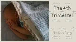 The 4th Trimester | The Mom Diary