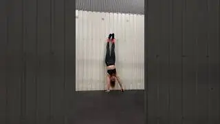 Handstand palm lifts (wall supported)