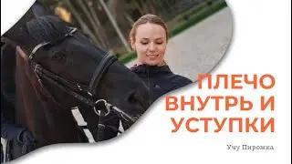 Плечо внутрь и уступка. Учу Пирожка