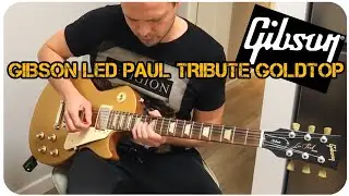 тест Gibson Les Paul tribute Goldtop 2014