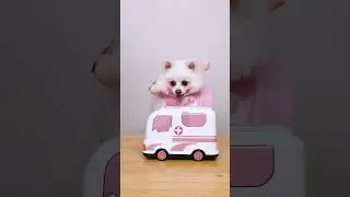 Nico: Strange patient!