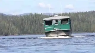 Wilderness Exploration & Crab Feast Ketchikan - Ketchikan, Alaska